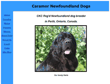 Tablet Screenshot of newfoundlanddog.ca